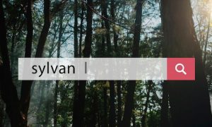 Повышение позиций сайта в поисковой выдаче